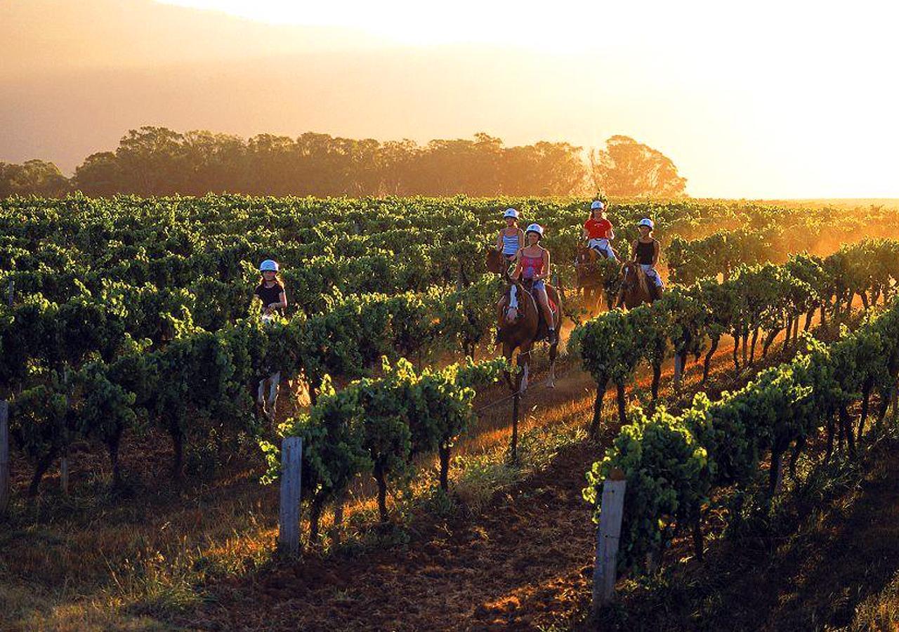 An Ideal Wine Country Getaway Villa เซสส์น็อก ภายนอก รูปภาพ